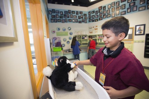 A young boy in a red shirt smiles while caring for a stuffed animal in a colorful, educational environment.