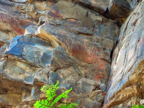Petroglyphs carved into a rocky surface, surrounded by natural stone textures and green foliage.