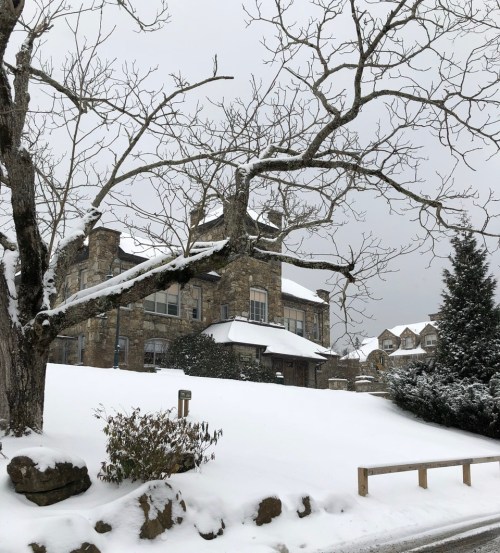 A stone building covered in snow, surrounded by bare trees and a winter landscape under a gray sky.
