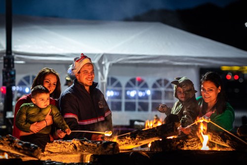 A group of people, including a child, roasting marshmallows over a fire at night, with a festive atmosphere.