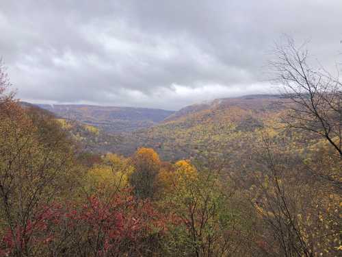 A scenic view of a valley filled with autumn foliage under a cloudy sky.