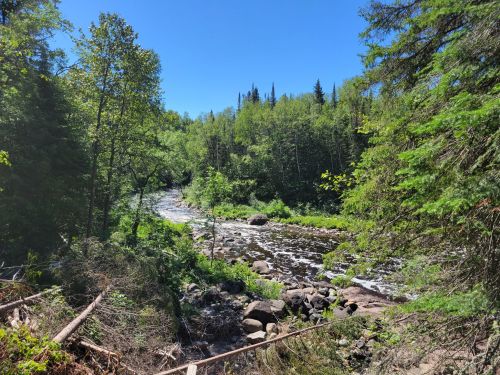 A serene river flows through a lush green forest under a clear blue sky. Rocks and trees line the riverbank.