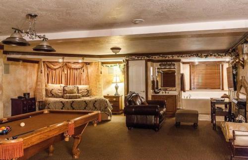 Cozy living space featuring a pool table, a bed with decorative curtains, a leather couch, and a bathroom area.