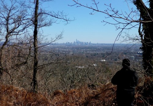 A person stands on a hillside, overlooking a city skyline in the distance, surrounded by bare trees and clear blue sky.