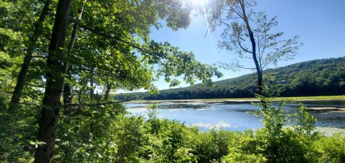 A serene river scene surrounded by lush greenery and trees, with a clear blue sky and distant hills.