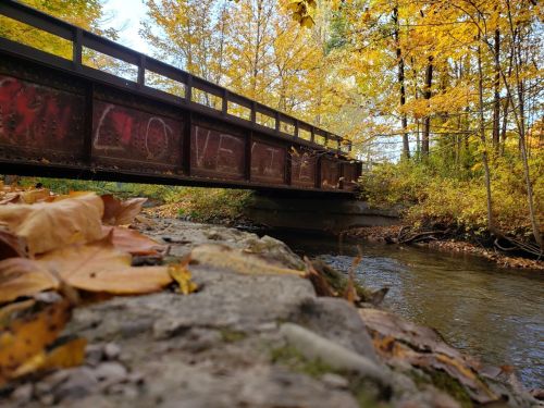 A low-angle view of a bridge over a stream, surrounded by autumn foliage and fallen leaves.