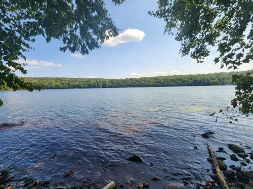 A serene lake view framed by trees, with clear blue water and a lush green shoreline under a bright sky.