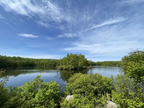 A serene lake surrounded by lush greenery and a small island under a clear blue sky with wispy clouds.