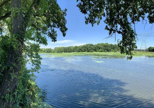 A serene lake surrounded by lush greenery under a clear blue sky, with gentle ripples on the water's surface.