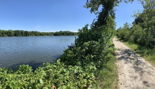 A serene lakeside view with a dirt path lined by greenery under a clear blue sky.