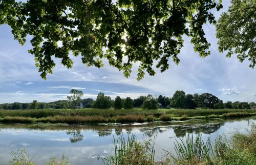 A serene river scene with lush greenery and trees reflecting in the calm water under a clear blue sky.