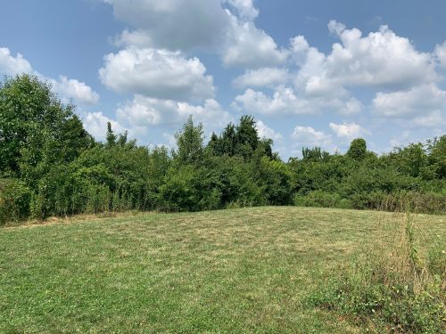 A grassy field bordered by dense green shrubs and trees under a partly cloudy sky.