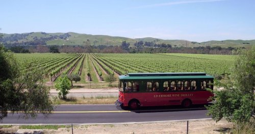 A vintage-style trolley bus drives past lush vineyards under a clear blue sky. Rolling hills are in the background.