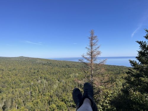 A person's legs in black shoes resting on a ledge, overlooking a vast green forest and a blue ocean under a clear sky.