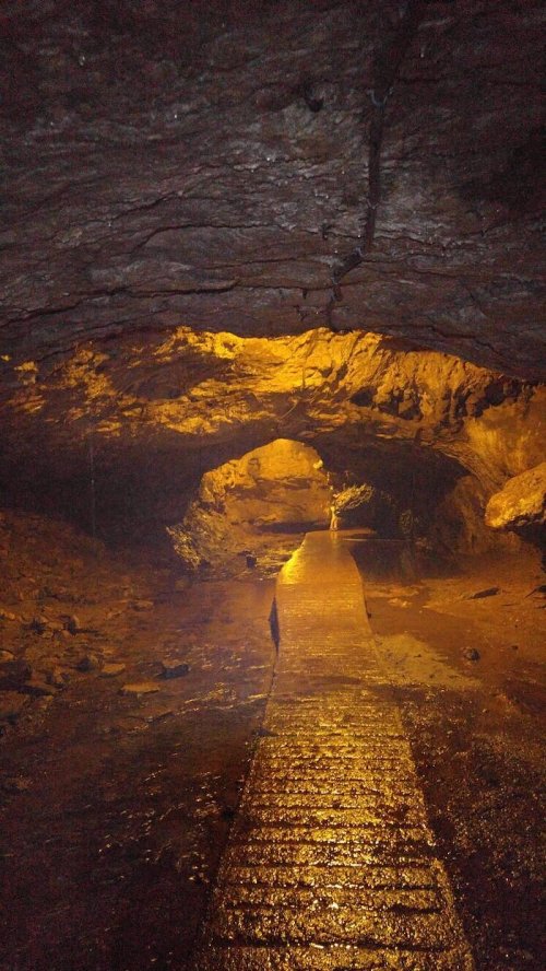 A dimly lit cave interior with a wet stone pathway leading into the distance, surrounded by rocky walls.