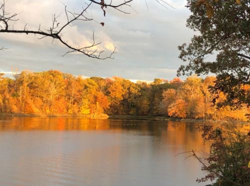A serene lake surrounded by trees with vibrant autumn foliage reflecting on the water under a cloudy sky.