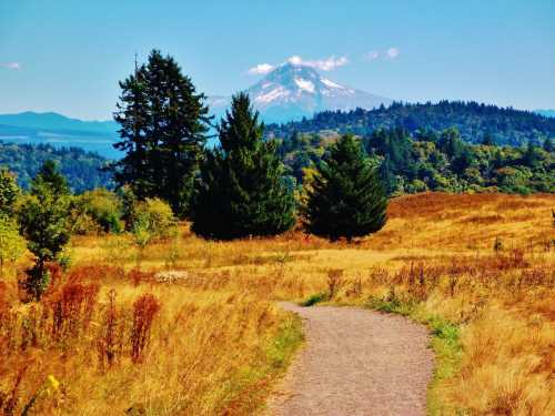 A scenic path leads through golden grass and trees, with a snow-capped mountain in the background under a clear blue sky.