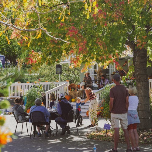 A lively outdoor gathering with people sitting at tables, enjoying fall decorations and activities in a colorful setting.