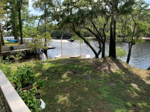 A serene riverside view with a wooden dock, trees, and a grassy area under a clear blue sky.