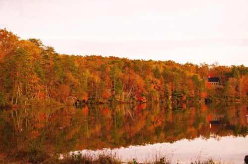 A serene lake reflecting vibrant autumn foliage and a rustic cabin in the background.