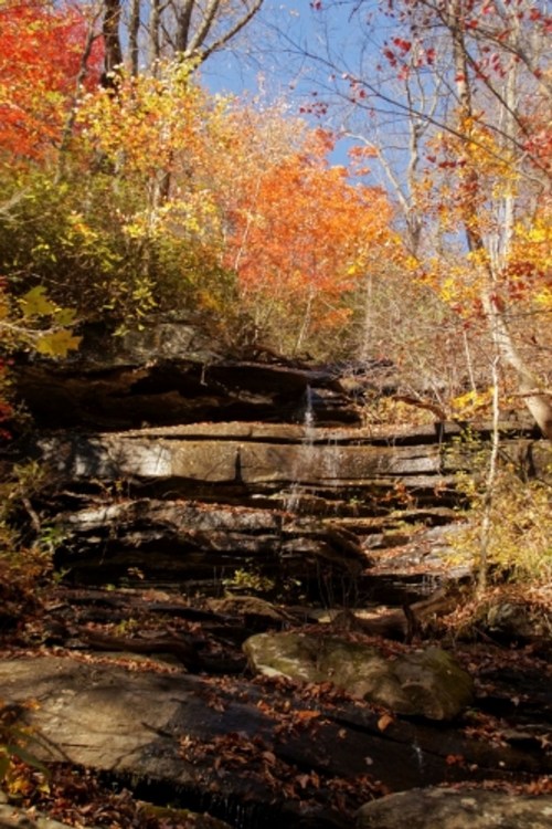 A serene waterfall cascading down rocky layers, surrounded by vibrant autumn foliage in a forested area.