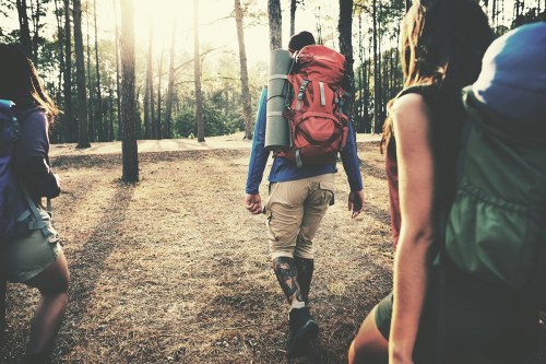 A group of hikers with backpacks walking through a sunlit forest trail.