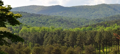 Lush green mountains and dense forests under a partly cloudy sky, showcasing a serene natural landscape.