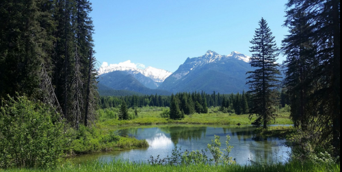 A serene landscape featuring a calm pond, lush greenery, and snow-capped mountains under a clear blue sky.