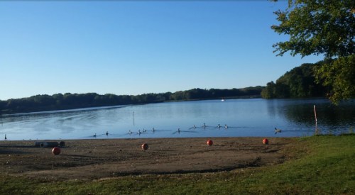 A serene lake scene with a sandy shore, buoy markers, and ducks swimming in calm water under a clear blue sky.