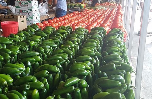 A vibrant market display featuring rows of green peppers and red tomatoes, with shoppers in the background.