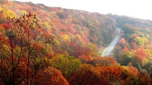 A winding road through vibrant autumn foliage in a hilly landscape, showcasing red, orange, and yellow leaves.