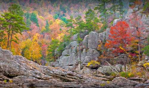 Vibrant autumn foliage surrounds rocky cliffs by a calm waterway, showcasing a mix of red, orange, and green trees.