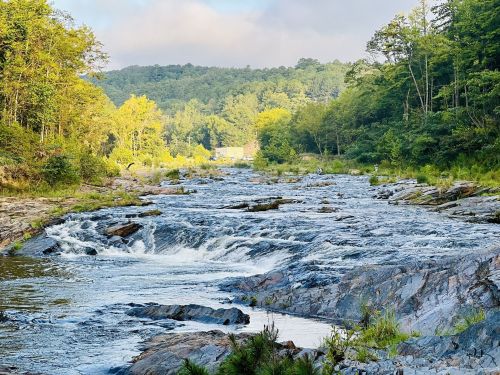 A serene river flows over rocky terrain, surrounded by lush greenery and distant hills under a clear sky.
