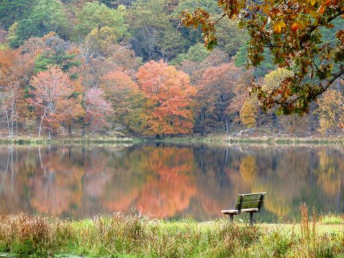 A serene lake surrounded by autumn trees, reflecting vibrant colors, with a solitary bench in the foreground.