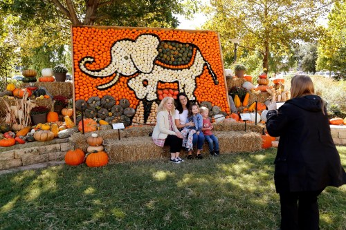 A family poses in front of a colorful pumpkin display featuring an elephant design, surrounded by autumn decorations.