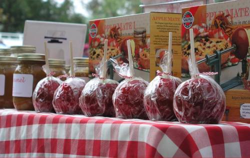 A row of shiny red caramel apples wrapped in clear plastic, displayed on a checkered tablecloth with jars in the background.