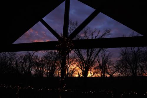 Silhouette of trees against a colorful sunset, framed by a dark structure with holiday lights in the foreground.
