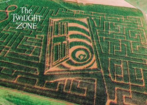 Aerial view of a corn maze designed in the shape of "The Twilight Zone" logo, surrounded by green fields.