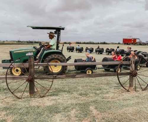 A tractor pulls a train of children in small carts across a grassy field under a cloudy sky.