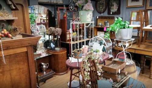 A cozy antique shop filled with vintage furniture, decor items, and plants, creating a charming atmosphere.
