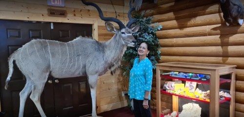 A woman stands next to a mounted kudu in a rustic interior, with a display case of colorful items nearby.