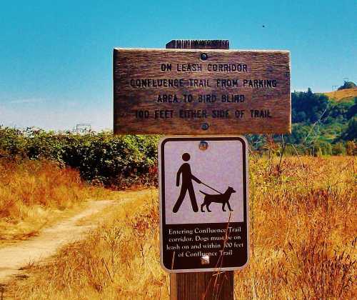 A wooden sign marks a dog walking area along a trail, with instructions for leash use and distance guidelines.