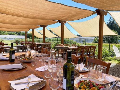 A sunny outdoor dining area with wooden tables, bottles of wine, and colorful salads under fabric canopies.