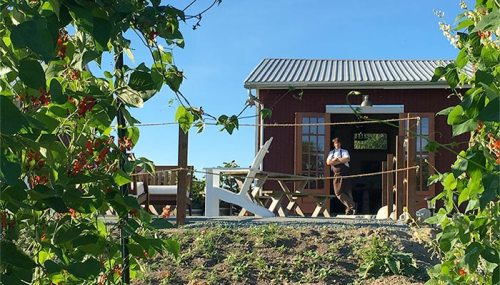 A person stands on a porch of a red cabin surrounded by greenery and blue skies.