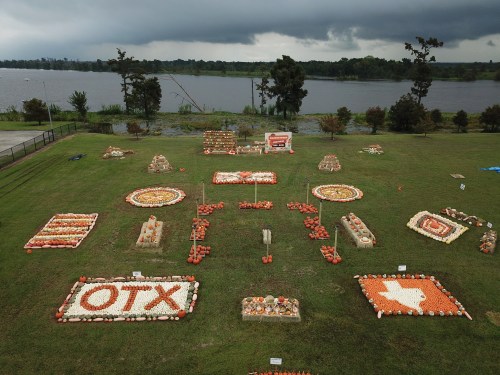 Aerial view of a grassy area decorated with colorful pumpkins and gourds, near a lake under a cloudy sky.