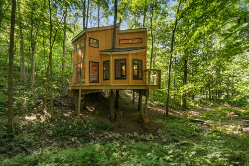 A modern treehouse perched on stilts in a lush green forest, surrounded by trees and a small creek.