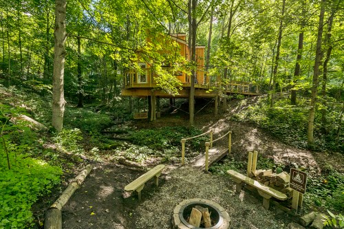 A treehouse nestled in a lush green forest, with a fire pit and wooden benches nearby.