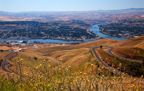 A panoramic view of a river winding through a valley, surrounded by rolling hills and dotted with wildflowers.