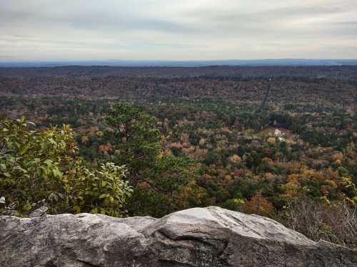 A panoramic view of a forested landscape with autumn colors, seen from a rocky overlook under a cloudy sky.