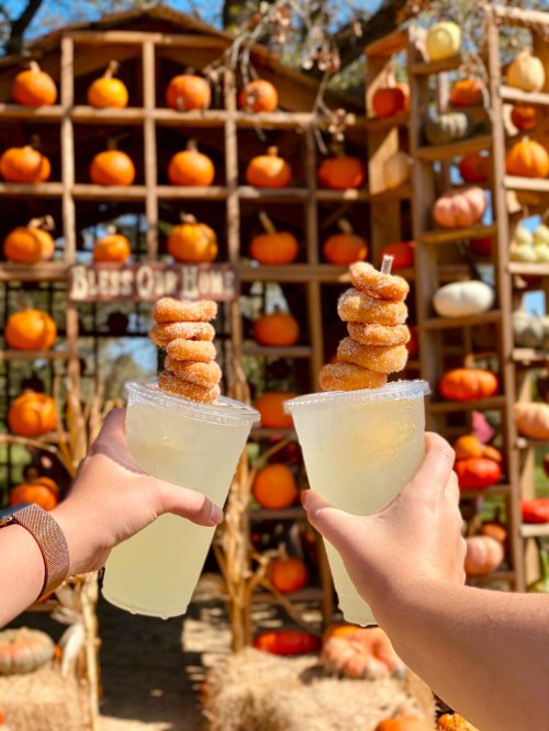 Two hands raise drinks with donut skewers in front of a pumpkin display at a festive outdoor setting.